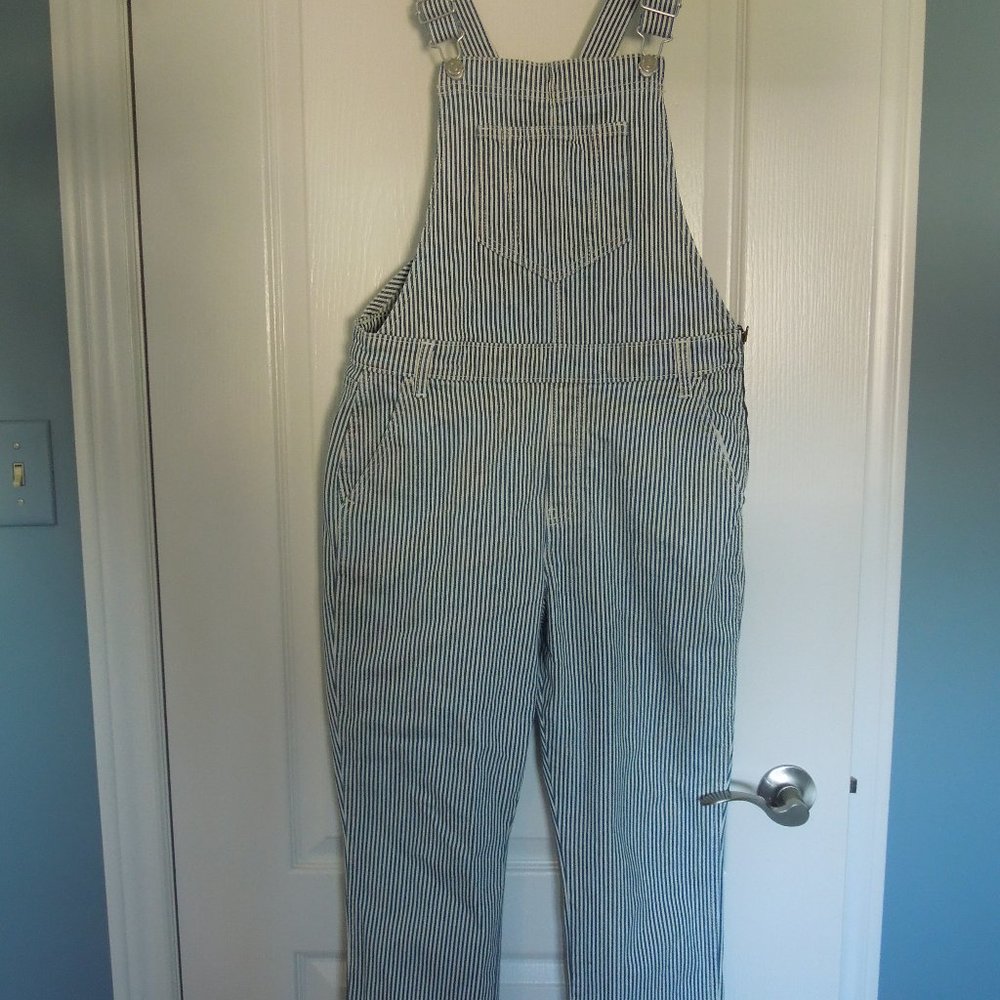 Super Cute Overalls!